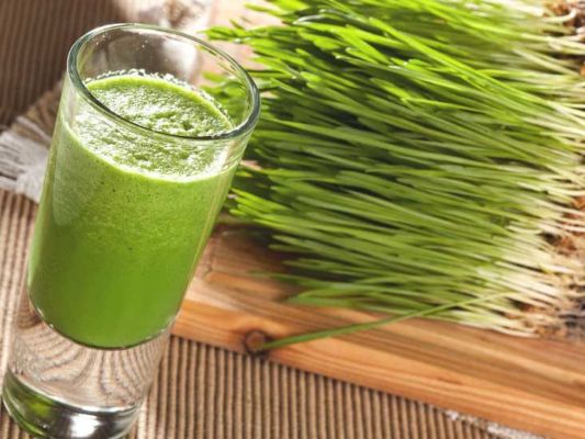 What are the health benefits of wheatgrass Learn its four best benefits