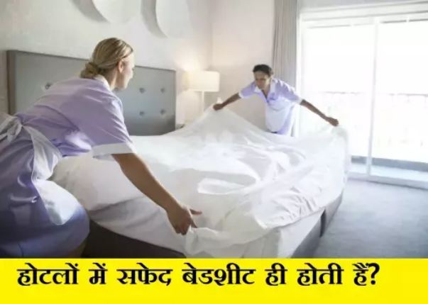 Why white bedsheets are put in hotels, 99% people do not know the reason