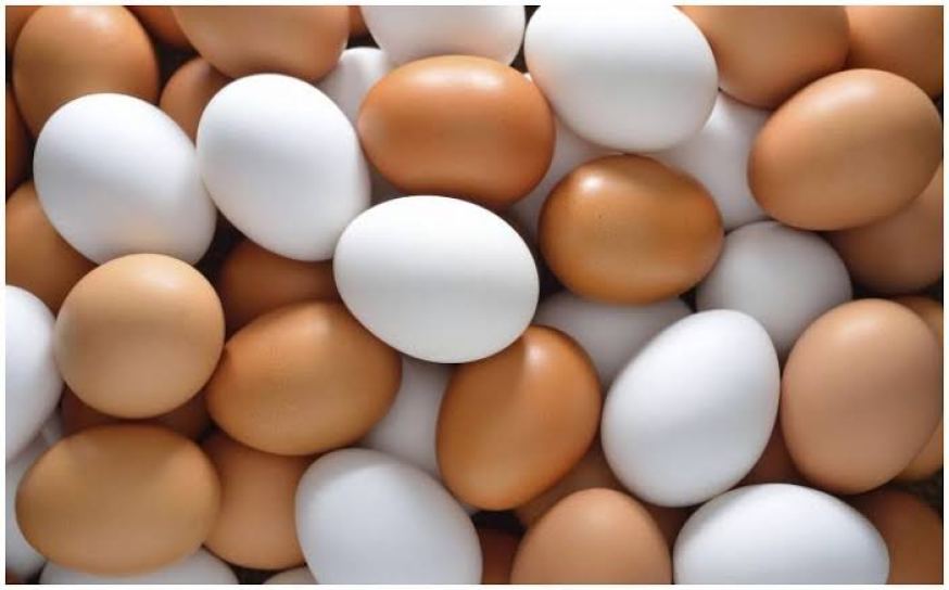 Surprising thing in America and India, the price of eggs is so