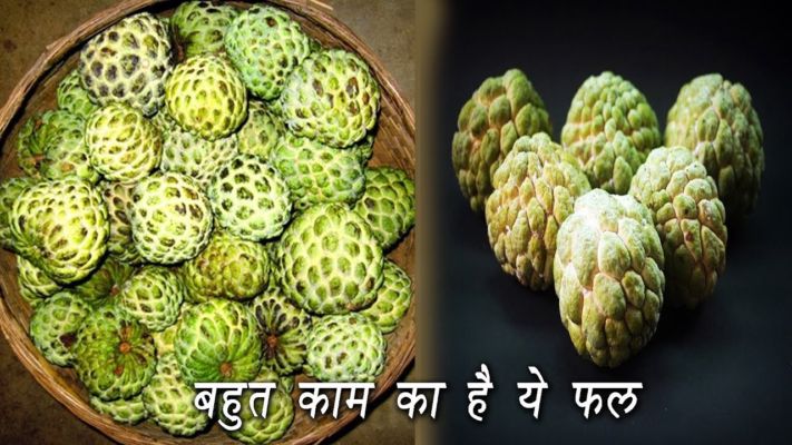 You are also a treasure of virtues, you also consume this fruit, so do read this news once.