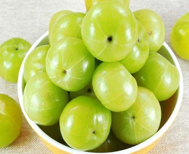Amla is no less than a boon for the patients of blood pressure and heart.