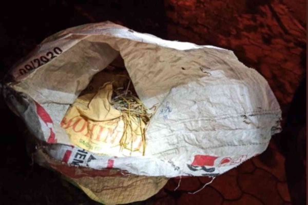51 bombs found 100 meters away from BJP office in Kolkata, Macha Hadkamp
