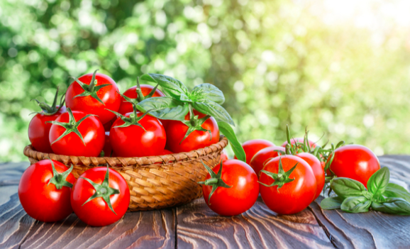 Amazing properties hidden in tomatoes, which you probably do not know