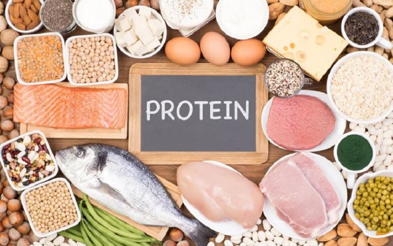 How useful is protein for a healthy body