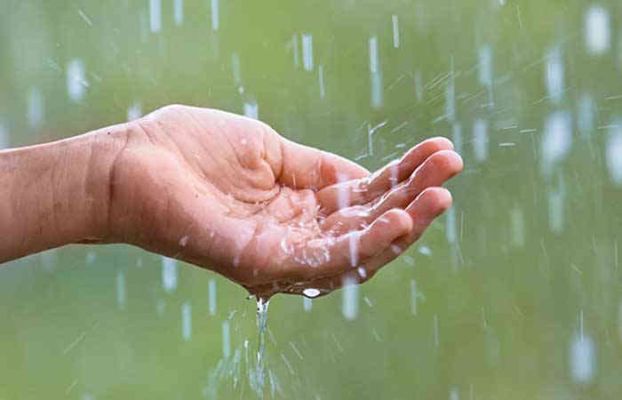 Seasonal diseases increase due to monsoon, keep these things in mind to stay healthy