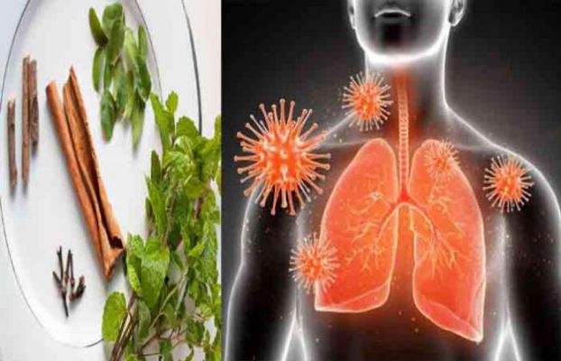 Tulsi strengthens the lungs, boost your immunity system with these 4 things