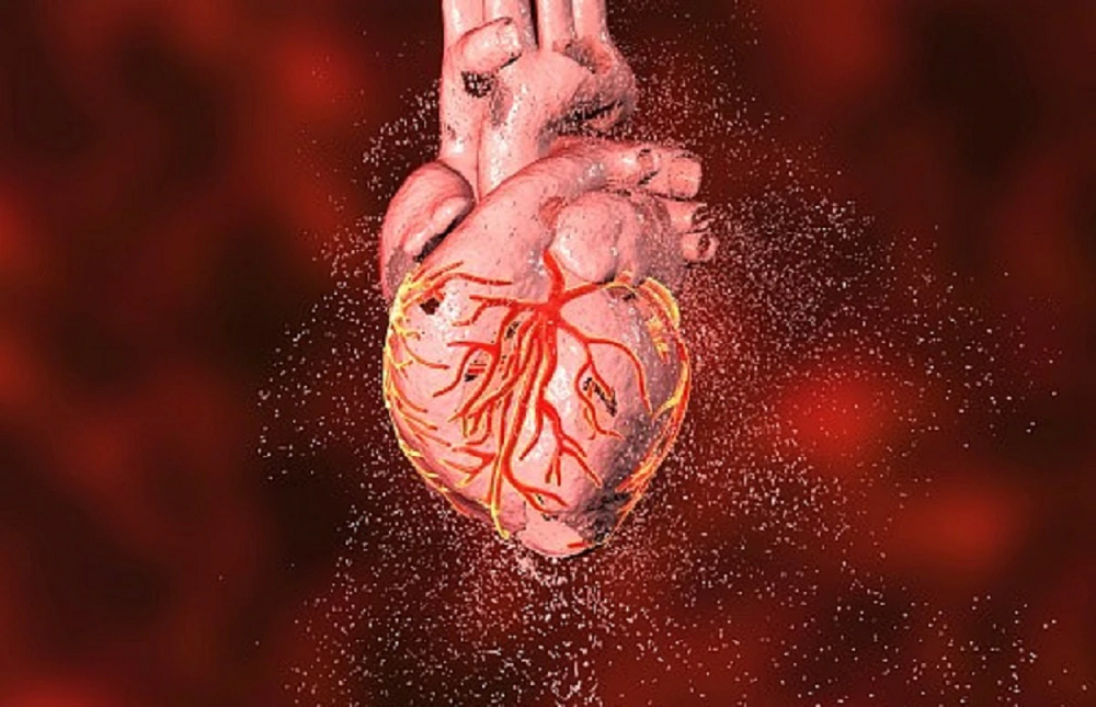 Here's how you can protect your heart from COVID19, know about it