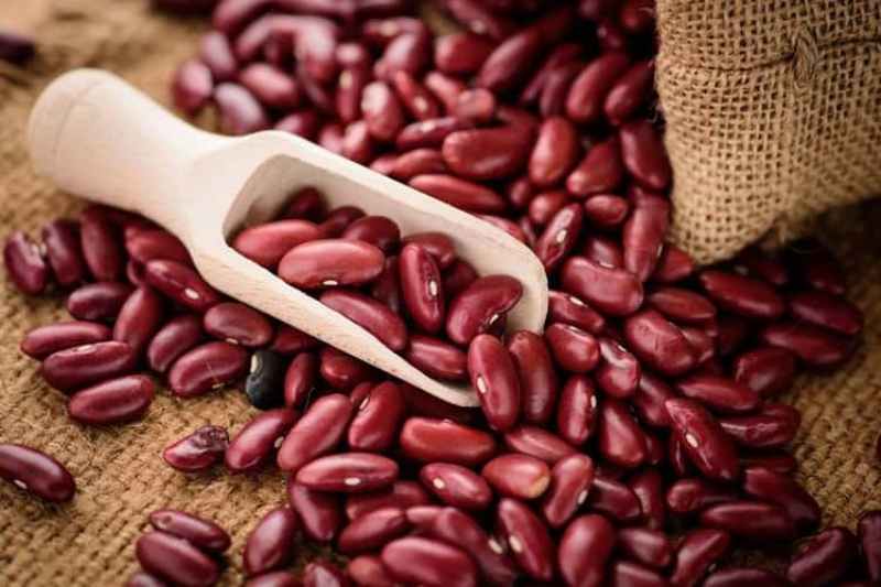 Panacea for diabetes and high blood pressure, Rajma is the cure