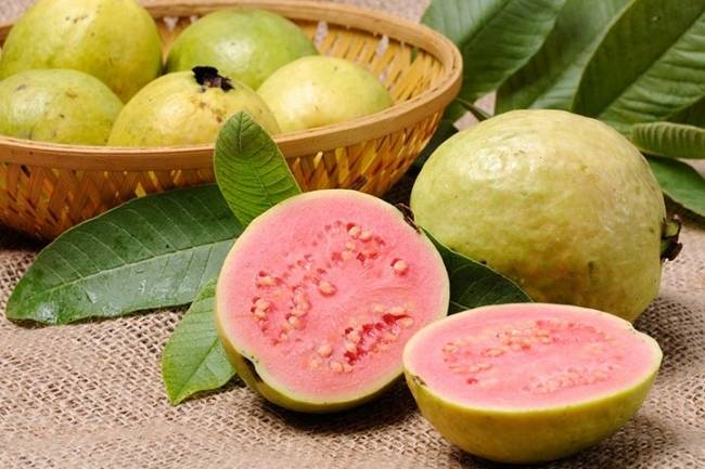 Which fruits are available in the cold season, which should be consumed