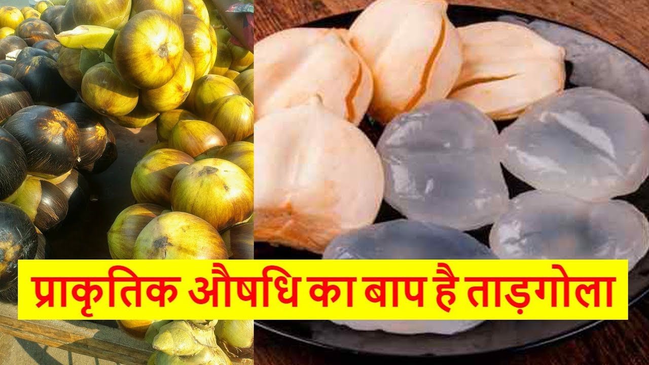Tadgol fruit is a boon for women and men
