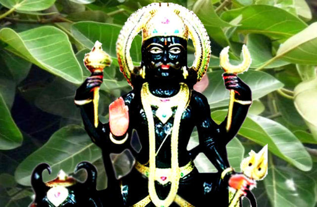 To which zodiac signs will Shani Dev give what fruit from this evening, see your zodiac here