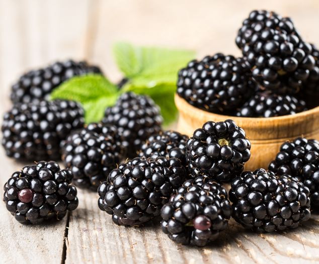 Blackberry also contains many plant nutrients, benefits of blackberry in our diet
