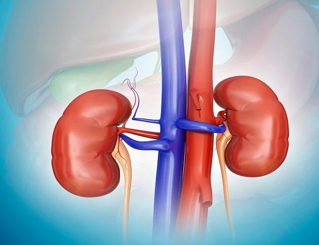 Recognize by these 4 symptoms, kidney is getting bad