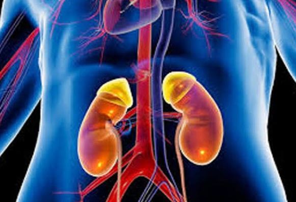 Recognize by these 4 symptoms, your kidney is getting bad