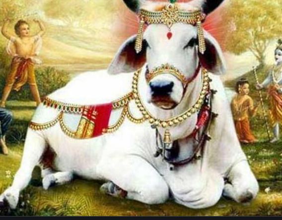 Some interesting and surprising things related to Gaumata