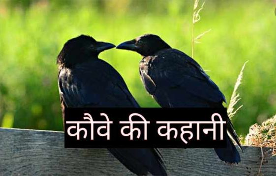 a-short-story-of-a-crow-and-the-biggest-lesson-of-your-life जिंदगी की सबसे बड़ी सीख