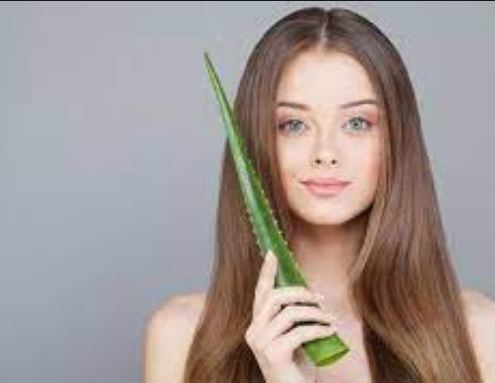 along-with-beauty-benefits-using-aloe-vera-for-your-hair-heres-how-it-benefits-your-hair एलोवेरा का उपयोग