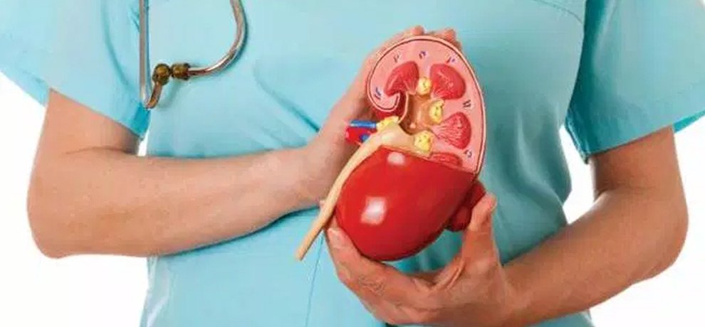Kidneys get damaged due to these 3 habits, do it right today किडनी