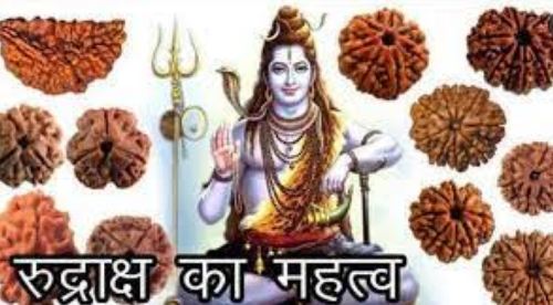 rudraksha-will-remove-all-the-problems-of-your-life-know-its-types-and-importanceरुद्राक्ष का लाभ