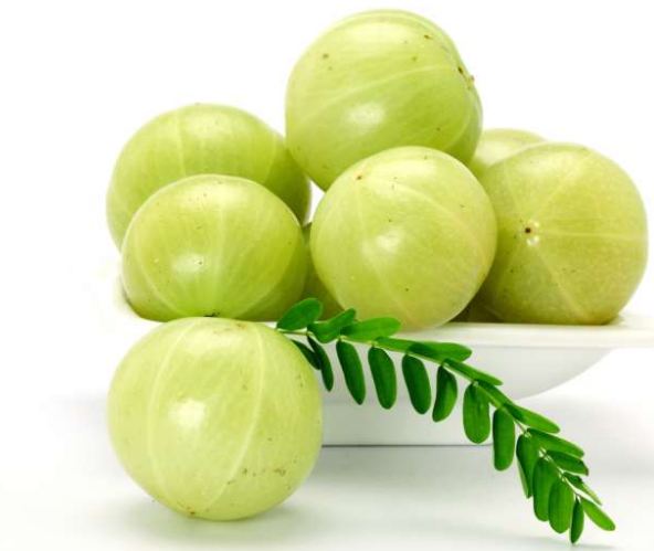 the-miraculous-benefits-of-eating-amla-and-what-are-its-various-uses