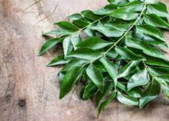 anemia-low-cholesterol-acidity-diabetes-weight-loss-and-other-benefits-of-this-leaf