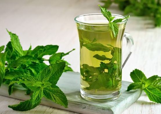 consumption-of-mint-is-very-beneficial-for-the-body-physical-problem-will-go-away