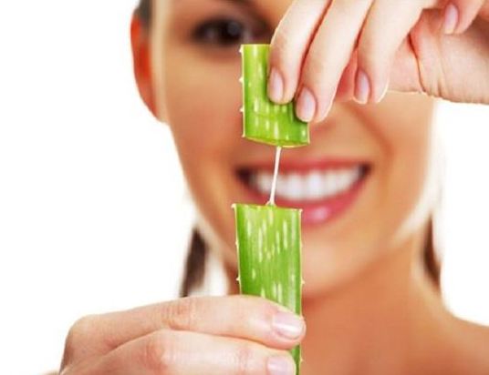 in-what-form-and-how-can-aloe-vera-be-used-in-keeping-your-body-healthy