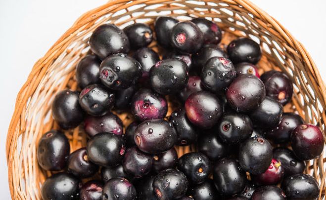 increase-your-brain-power-know-how-to-eat-only-from-the-fruit-of-jamun दिमाग की शक्ति