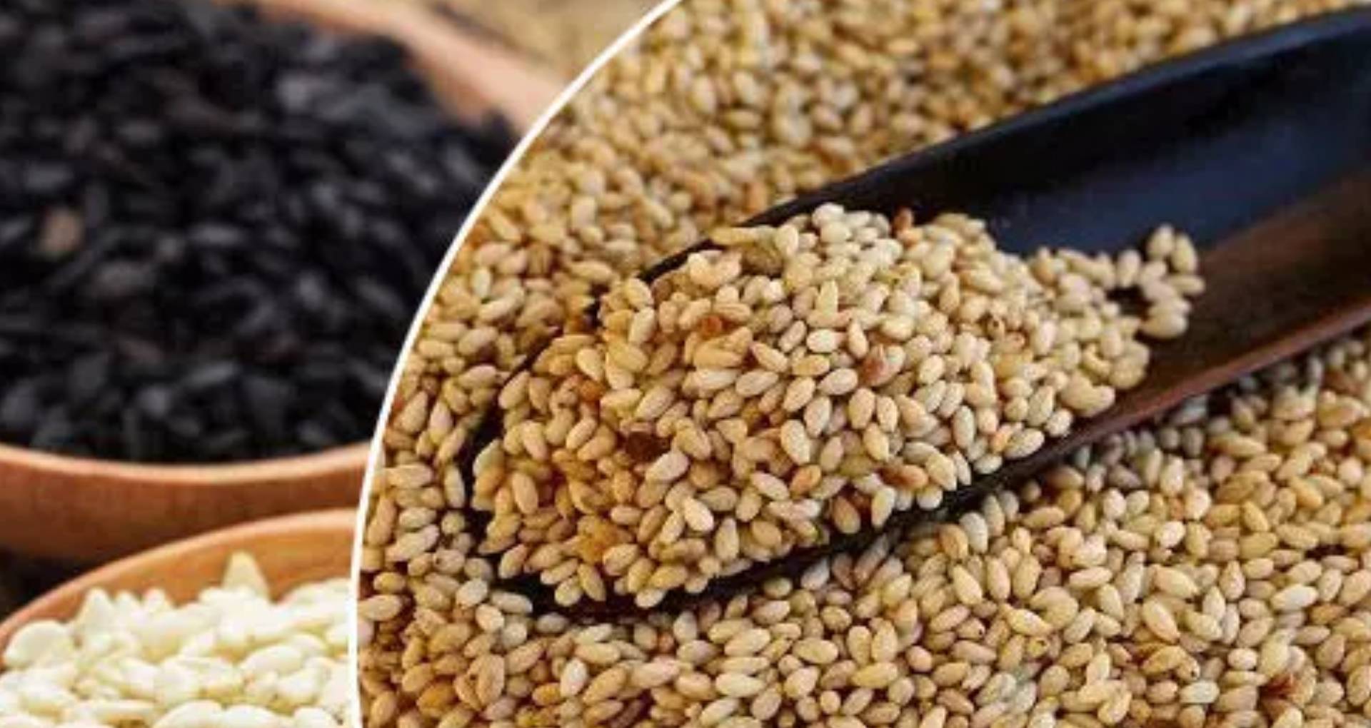 5 great benefits of sesame for heart disease and many diseases