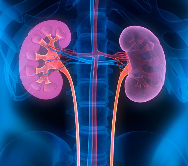 know-the-signs-and-symptoms-of-kidney-failure