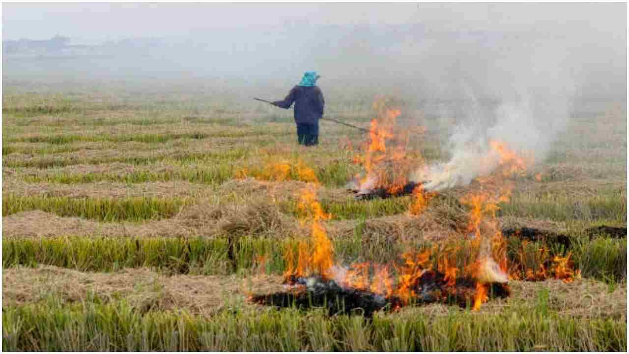 Rajgarh: Fire broke out in maize crop on the matter of reporting, case filed against four