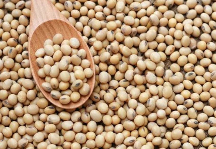 Secrets of Health Miraculous Benefits of Eating Soyabean
