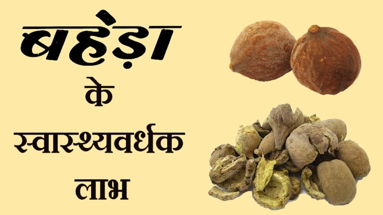 Amazing health benefits of Bahera, you will be surprised to know