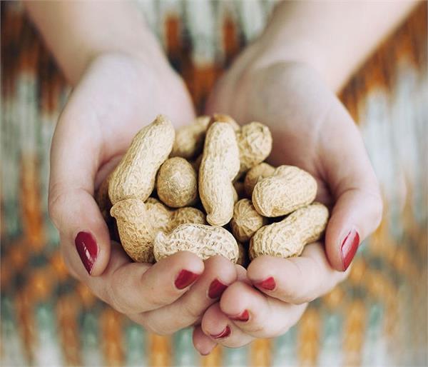 Peanuts are out of winter, know its unseen benefits, which diseases work
