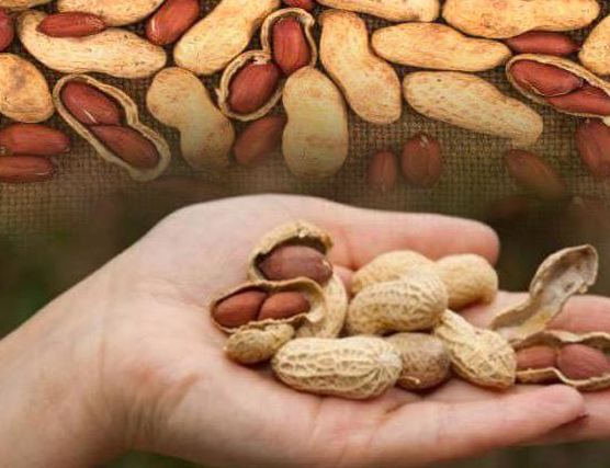 After eating peanuts on an empty stomach for a month, you will forget to eat expensive almonds, the benefits are surprising