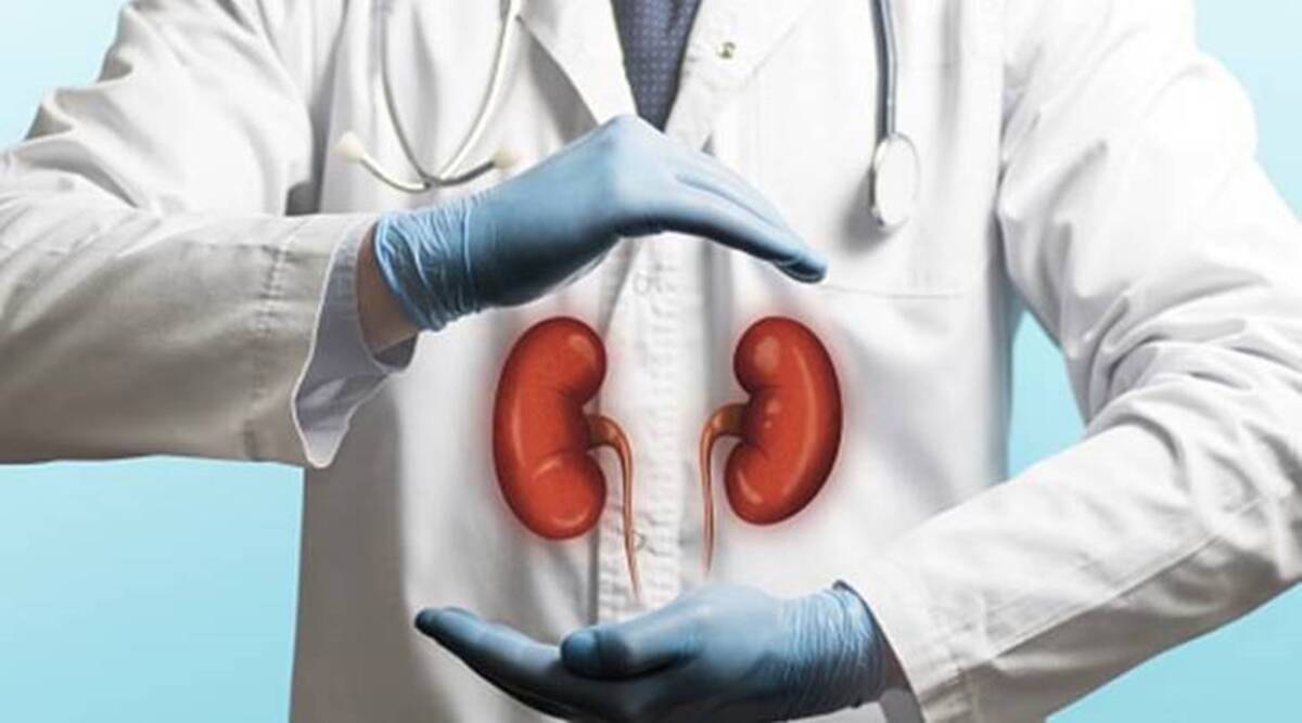 Kidney Health These 5 Things Can Directly Damage Your Kidneys