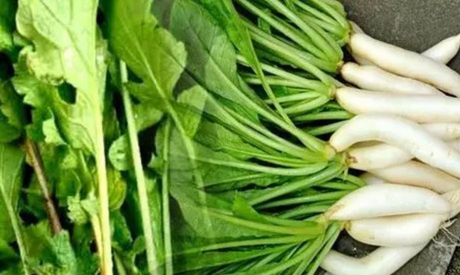 These health benefits are available by eating radish as well as its leaves in winter