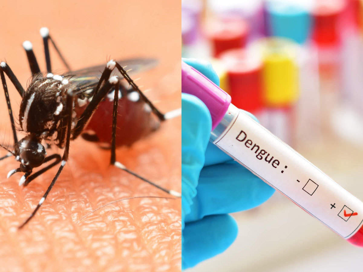 This thing found in the kitchen of the house cures from diabetes to dengue patients