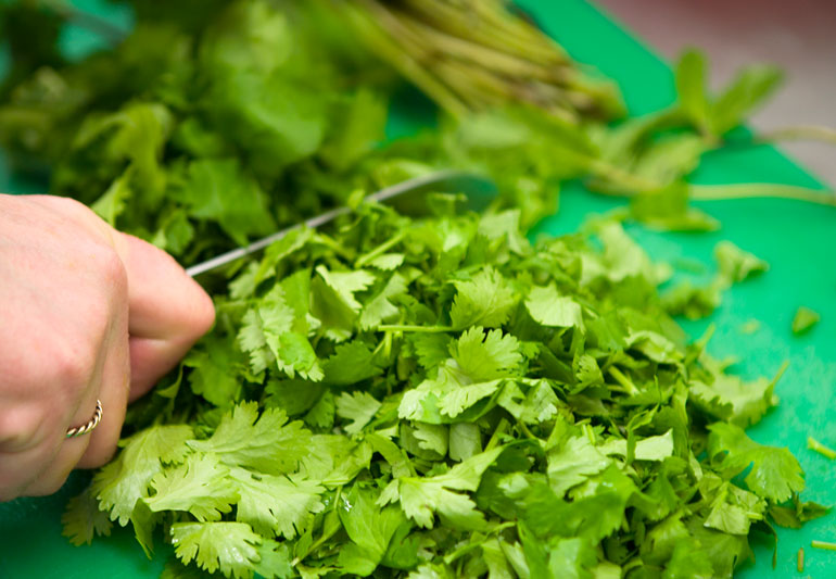 Do not throw coriander stalks, know its unique and wonderful benefits that you have never heard, as well as the method of use