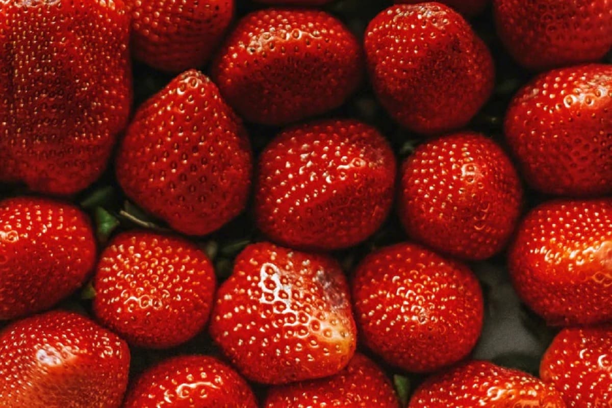 जानिए क्यों खानी चाहिए आपको सर्दियों में स्ट्रॉबेरी, पढ़ें इसके अनगिनत फायदे